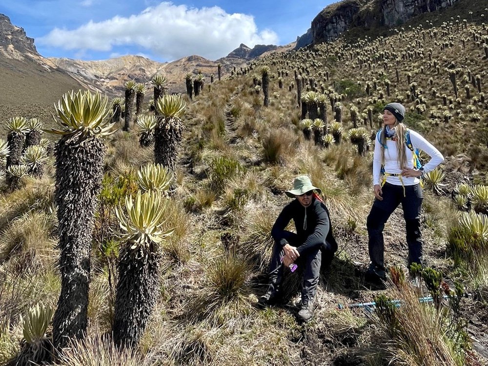 2ECOSISTEMA DEL PARAMO 1
