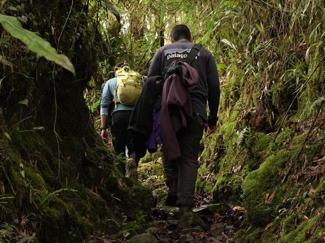 Ascenso al Alto del Rayo - Choachí