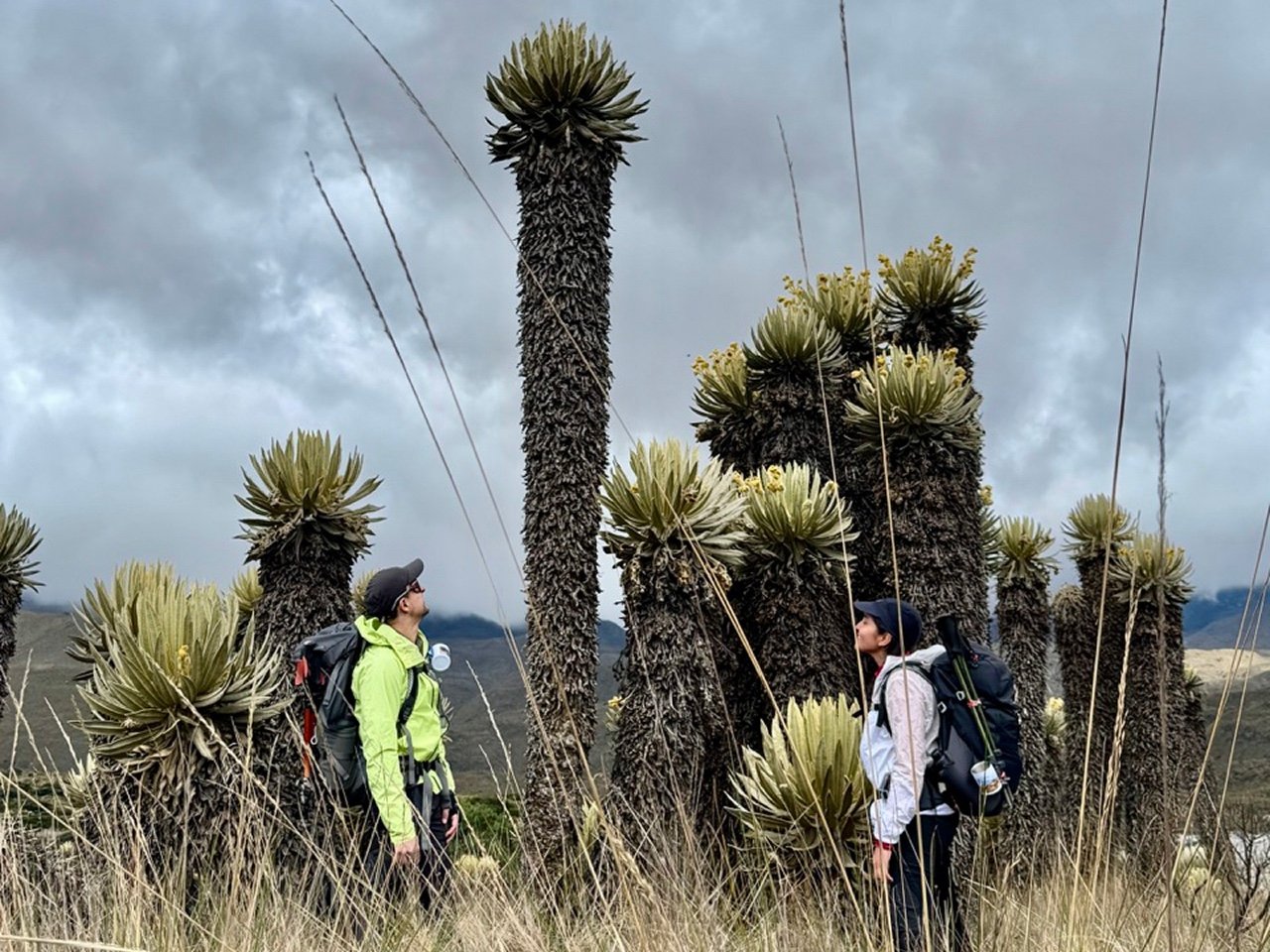 paramillo el quindio