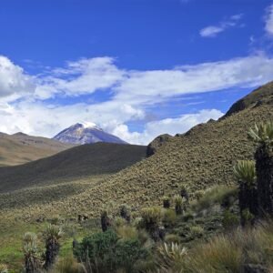 Expedición Travesía y Cima Santa Isabel / 3 días desde el Cedral (Salidas Privadas)