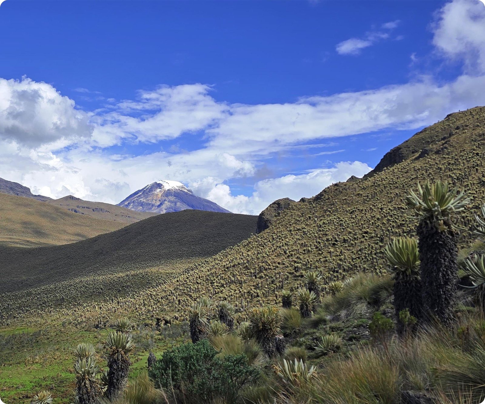 CUMBRE Y TRAVESIA NEVADO SANTA ISABEL 3 DIAS